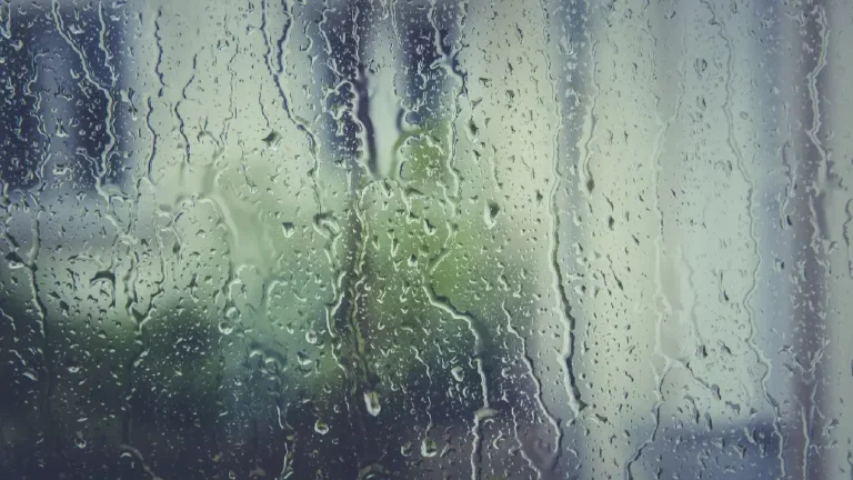 Water drops and runnels on a glass window